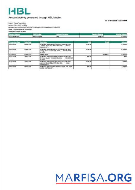 Blank Pakistan HBL account statement word download for verification